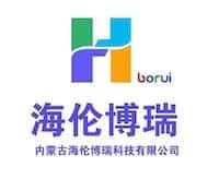 Inner Mongolia Hailunborui Technology Co., Ltd.